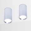 Накладной светильник Ambrella Light TN TN219