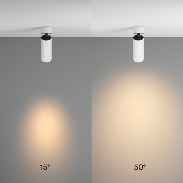 Накладной светильник Maytoni Focus Zoom C055CL-L12W3K-Z-W