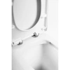 Чаша напольного безободкового унитаза BelBagno Flay-R BB007CPR