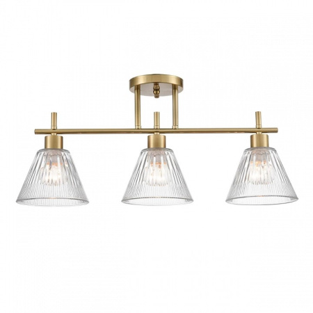 Светильник на штанге Lumion Vivian 8188/3C