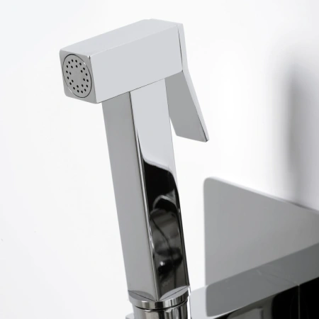 Гигиенический душ WasserKRAFT Aller 10638 со смесителем, хром