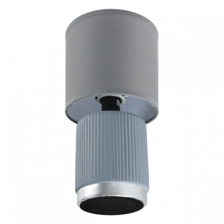 Настольная лампа декоративная Lumion KAISA 8177/1T