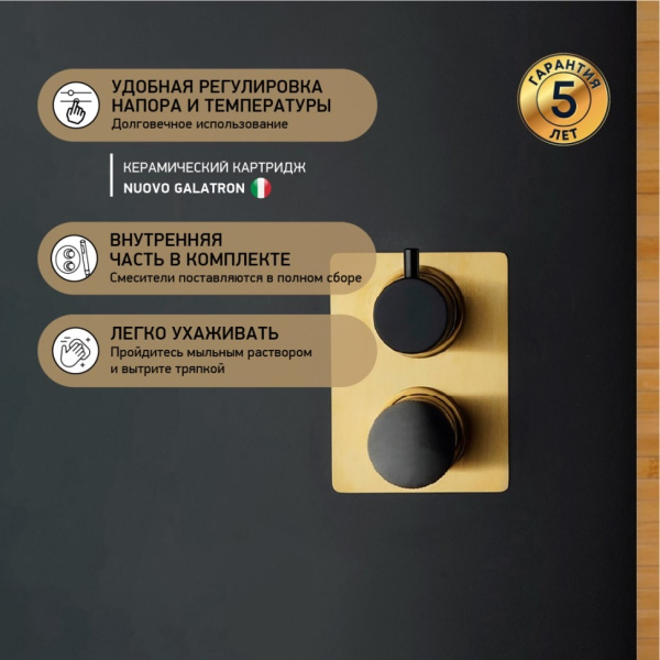 Смеситель для душа Paini Domus 18PJ691PZ золото матовое