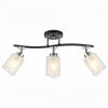 Спот Citilux Фортуна CL156132