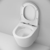 Подвесной унитаз AM.PM Sense C741701SC с крышкой-сиденьем