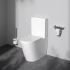 Унитаз AM.PM Sunc C8F8600SC с крышкой-сиденьем