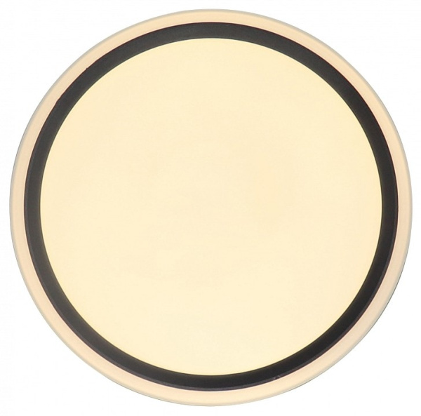 Накладной светильник Zortes Bella ZRS.1201.04