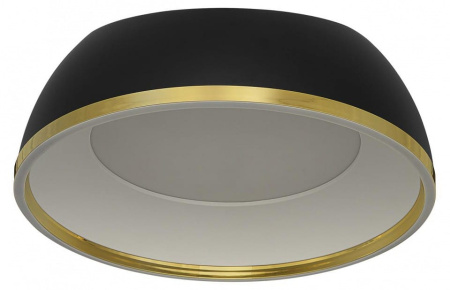 Накладной светильник Citilux FLOOM CL736151