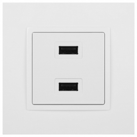 Розетка 2хUSB type A без рамки Эра Эра Elegance 14-4110-01