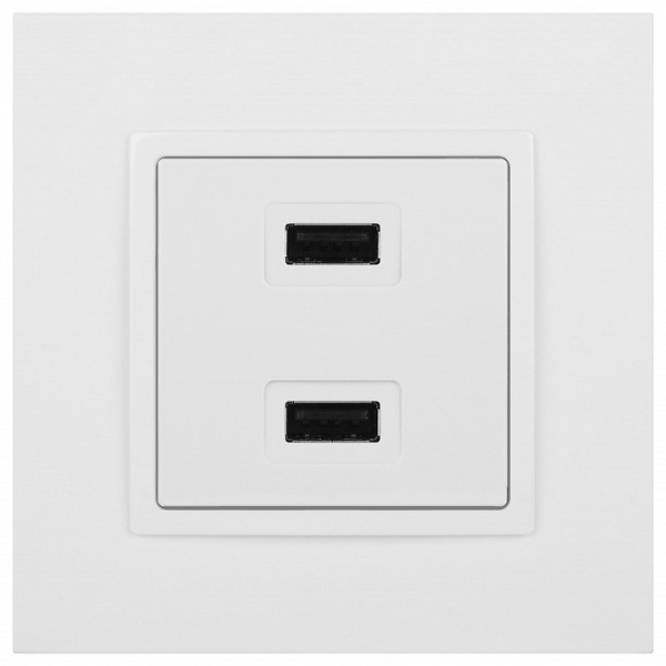 Розетка 2хUSB type A без рамки Эра Эра Elegance 14-4110-01