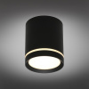 Накладной светильник Omnilux Capurso OML-102439-05