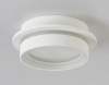 Накладной светильник Ambrella Light TN TN5383