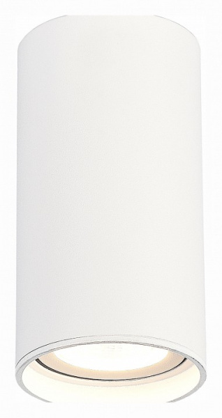 Накладной светильник ST-Luce ST157 ST157.542.15