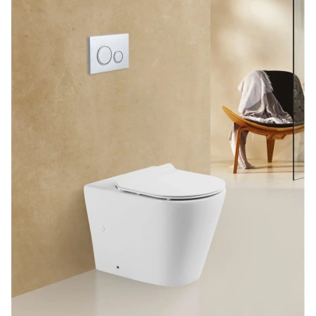 Приставной безободковый унитаз BelBagno Flay-R BB1003CBR