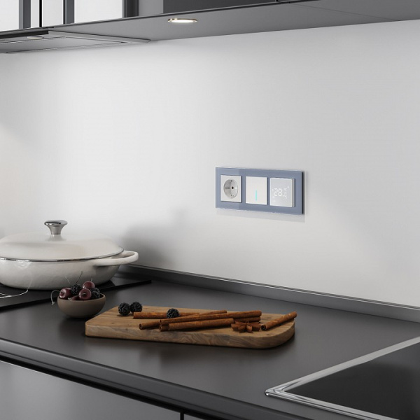 Выключатель одноклавишный с подсветкой без рамки Werkel серебряный W4510006