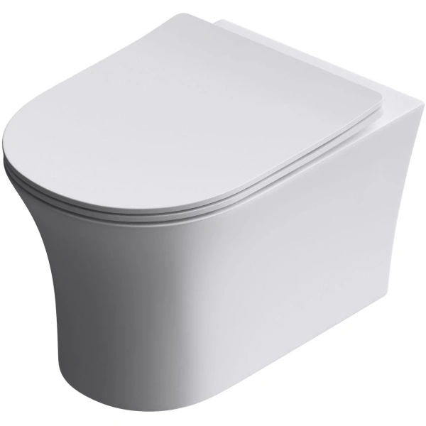 Унитаз подвесной Timo Reko TK-203 безободковый, с сиденьем микролифт, белый