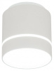Накладной светильник Citilux Борн CL745020N