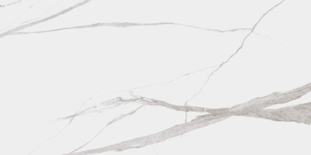 Dogma Project Antibacterial Керамогранит Calacatta Levigato 60x120 полированный