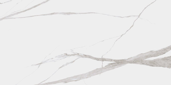 Dogma Project Antibacterial Керамогранит Calacatta Levigato 60x120 полированный