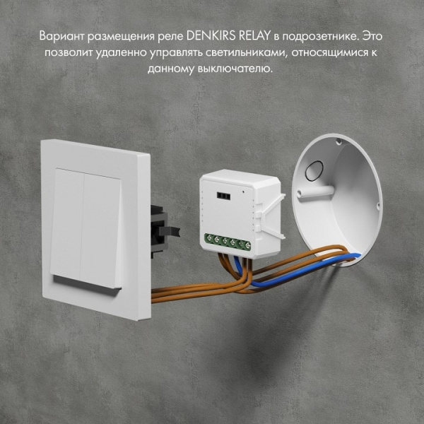 Конвертер Wi-Fi для смартфонов и планшетов Denkirs Relay RL1001-SM