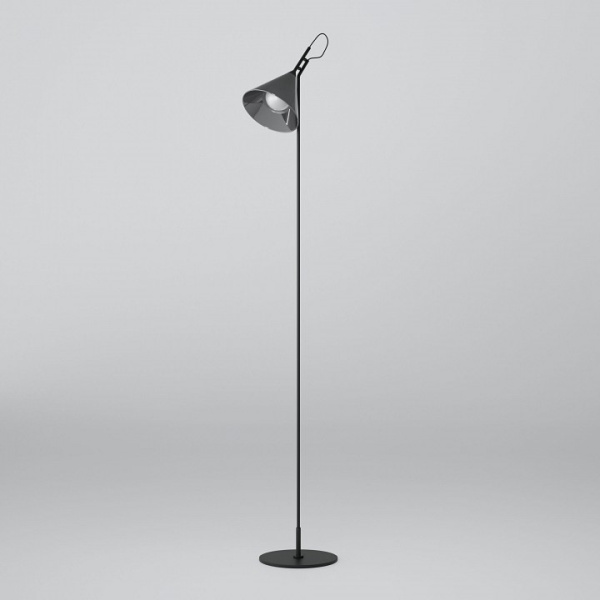 Торшер Eurosvet Enigma 01187/1 черный