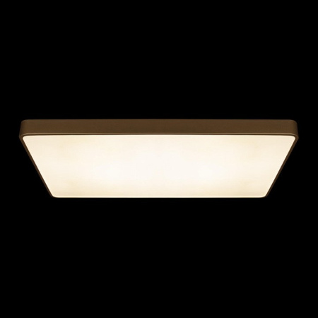 Накладной светильник Loft it Flims 10228/E