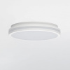 Накладной светильник Citilux LUNS CL711020V