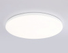 Накладной светильник Ambrella Light FZ FZ2002