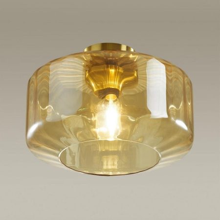 Накладной светильник Odeon Light Binga 4747/1C