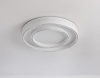 Накладной светильник Ambrella Light FL FL5821