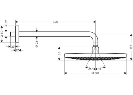 Верхний душ hansgrohe Raindance Select S 27378000