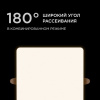 Встраиваемый светильник Apeyron Electrics  06-118