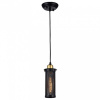 Подвесной светильник Favourite Strainer 1788-1P