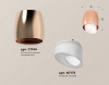 Накладной светильник Ambrella Light XS XS1144021