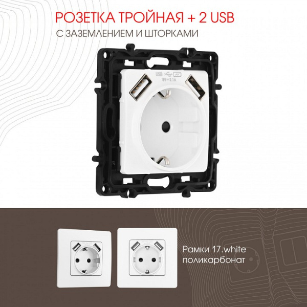 Розетка с заземлением и со шторкой и 2хUSB без рамки Arte Milano am-217 217.47-1.white