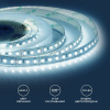 Лента светодиодная Apeyron Electrics  00-52