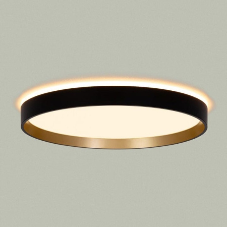 Накладной светильник Citilux ETALON CL750321R
