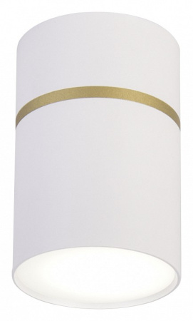 Накладной светильник Favourite Dunia 3067-1C