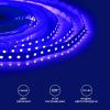 Лента светодиодная Apeyron Electrics  00-18