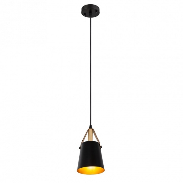 Подвесной светильник Arte Lamp Thomas A7032SP-1BK