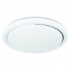 Накладной светильник Escada  10227/S LED APP
