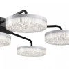 Потолочная люстра Lumion Didana 8236/7CL