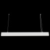 Подвесной светильник Maytoni Technical Точки P050PL-L40W4K