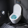 Подвесной унитаз AM.PM Sense C741701SC с крышкой-сиденьем