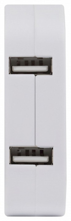 Разветвитель Эра  SPF-2-FL-USB