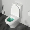 Унитаз AM.PM Inspire C508607WH