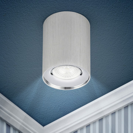 Накладной светильник Эра OL1 GU10 SL/CH