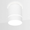 Накладной светильник Ambrella Light TN TN256