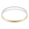 Накладной светильник Citilux ENZO CL753450G