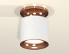 Накладной светильник Ambrella Light XS XS7401142